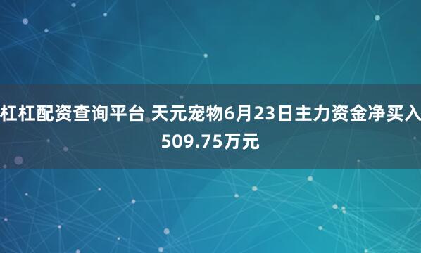 杠杠配资查询平台 天元宠物6月23日主力资金净买入509.75万元