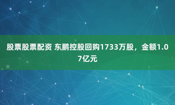 股票股票配资 东鹏控股回购1733万股，金额1.07亿元